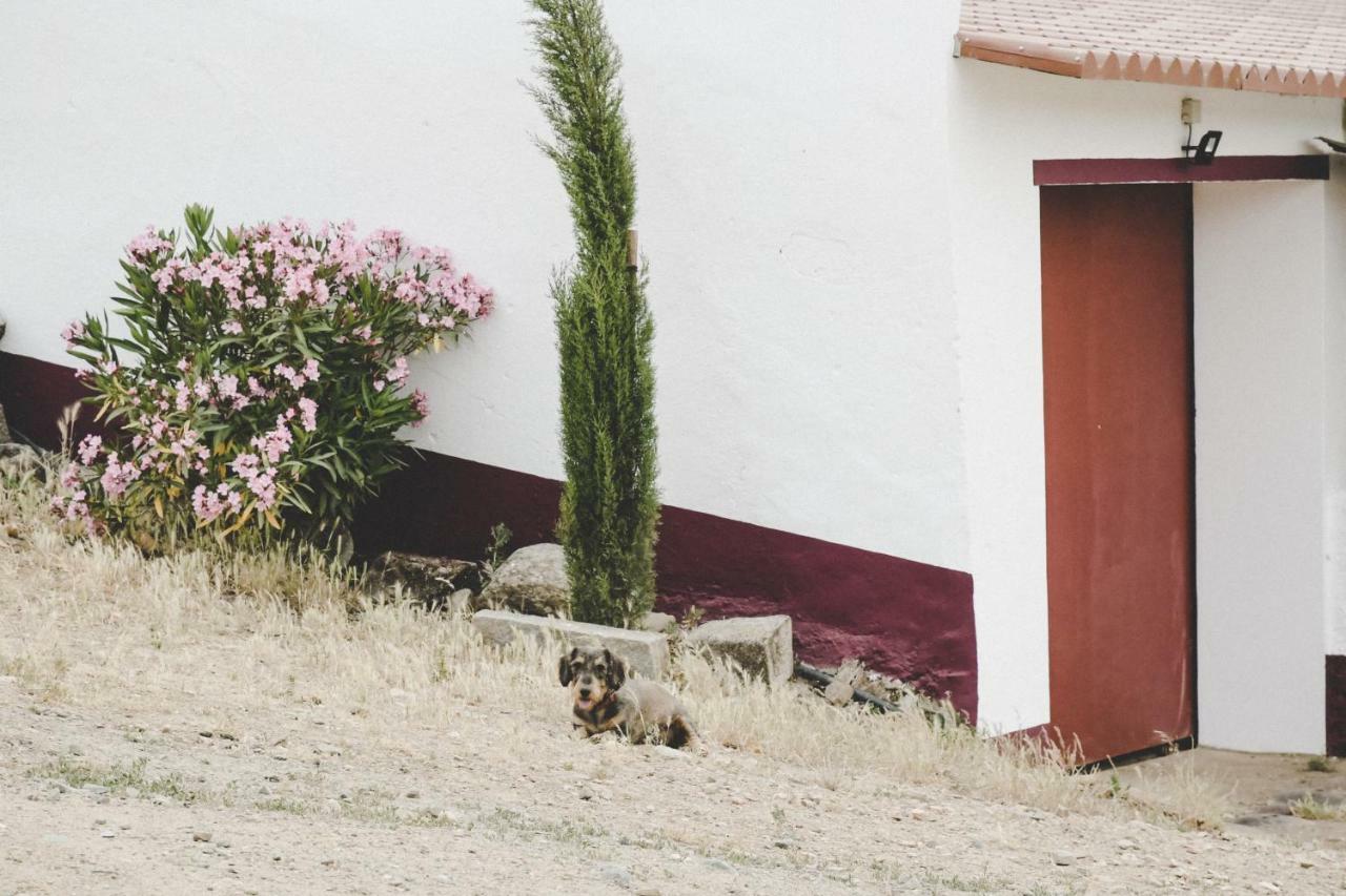 Casas Da Faia - Nature Guest House Arronches Luaran gambar